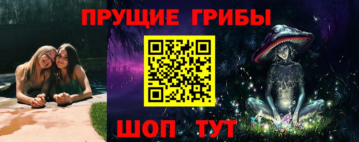 Псилоцибиновые грибы MAGIC MUSHROOMS Юрга