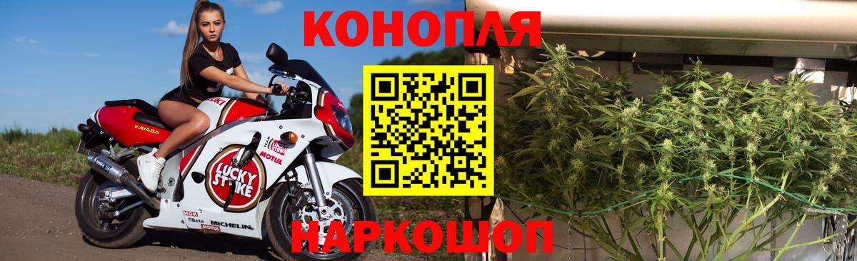 Бошки марихуана конопля  Конопля White Widow  Вход с VPN  Юрга 